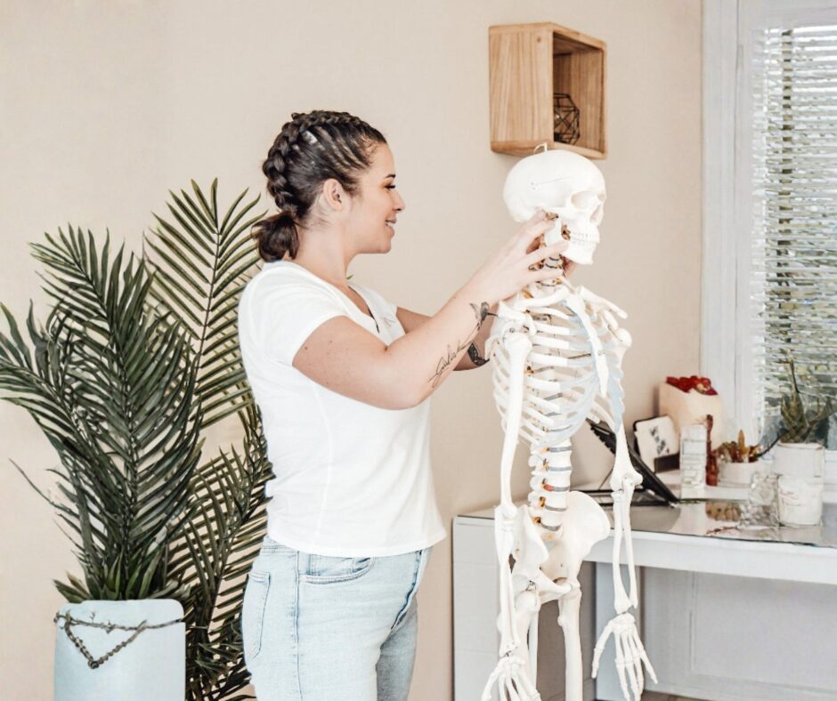Anatomie palpatoire en formation